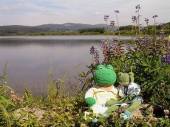 Klicke f�r Voll Darstellung