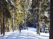Klicke f�r Voll Darstellung